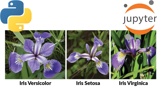 Iris Unsupervised Learning created by Brian Tham